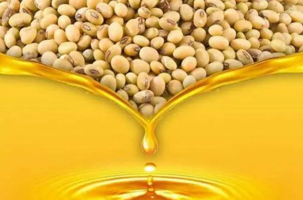 中国转基因食品一览表