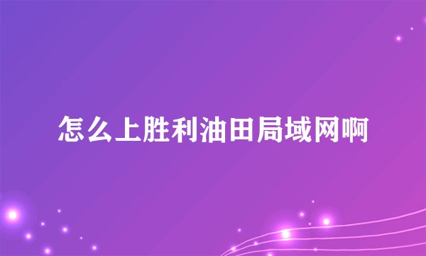 怎么上胜利油田局域网啊