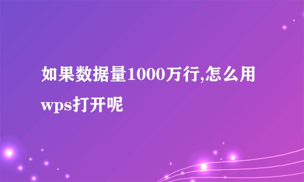 如果数据量1000万行,怎么用wps打开呢