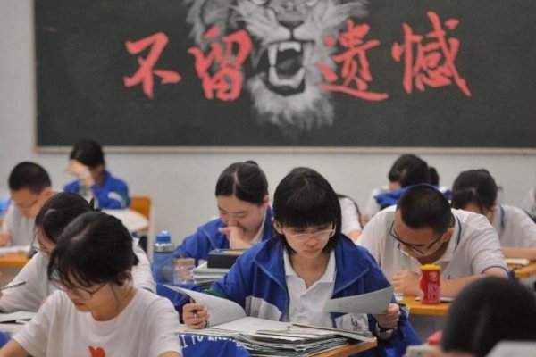 龙招港黑龙江招生网