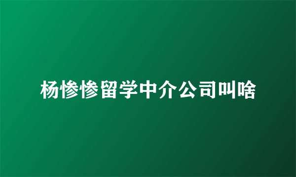 杨惨惨留学中介公司叫啥