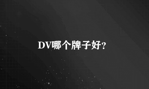 DV哪个牌子好？