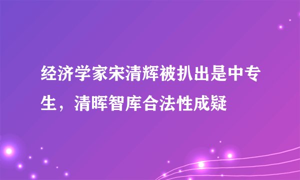 经济学家宋清辉被扒出是中专生,清晖智库合法性成疑