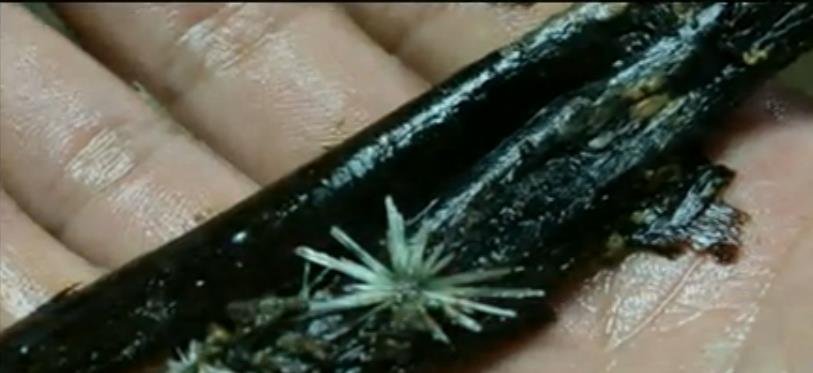 山村惊现春秋大墓，有着47具棺木，有怎样的意义？