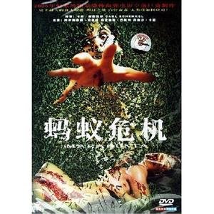 蚂蚁危机的介绍