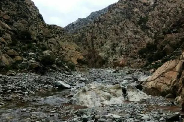 宁夏固原地震带上竟突现泉眼，这到底是咋回事？