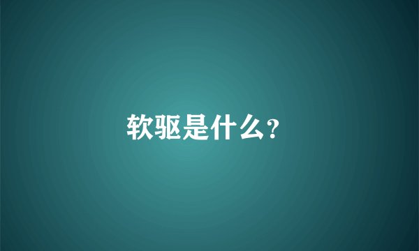 软驱是什么？