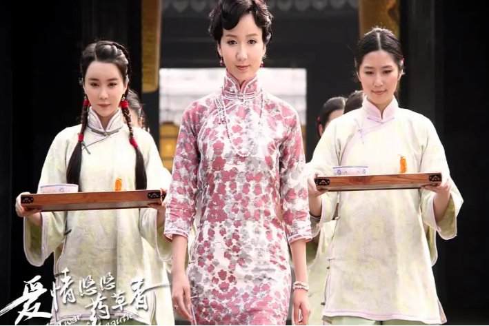 爱情悠悠药草香每个人的结局