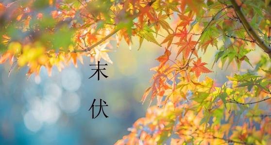 末伏是不是就凉快了