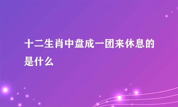 十二生肖中盘成一团来休息的是什么