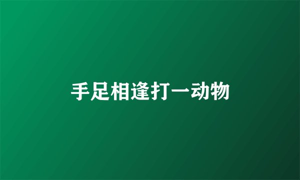 手足相逢打一动物