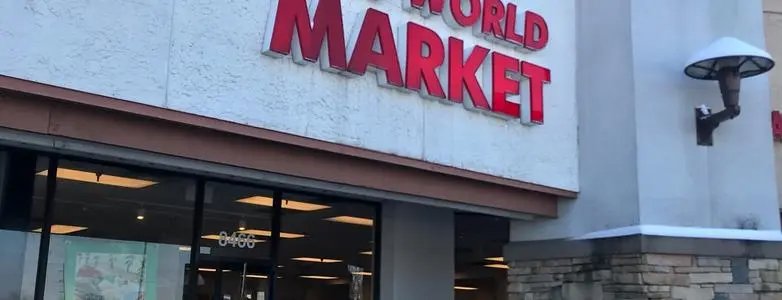 One World One Market 指的是