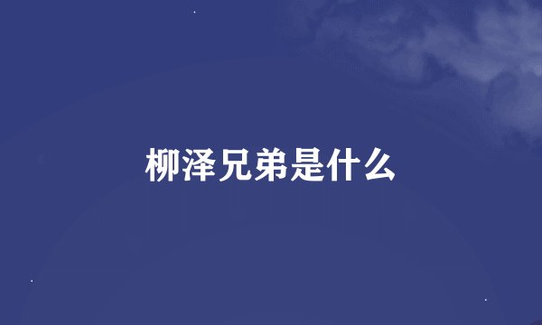 柳泽兄弟是什么