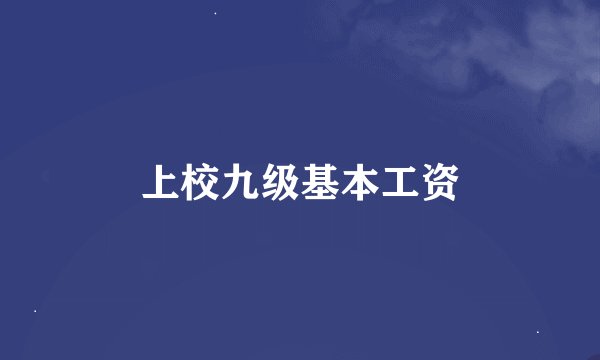 上校九级基本工资