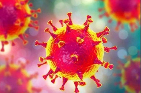 covid-19全称是什么？