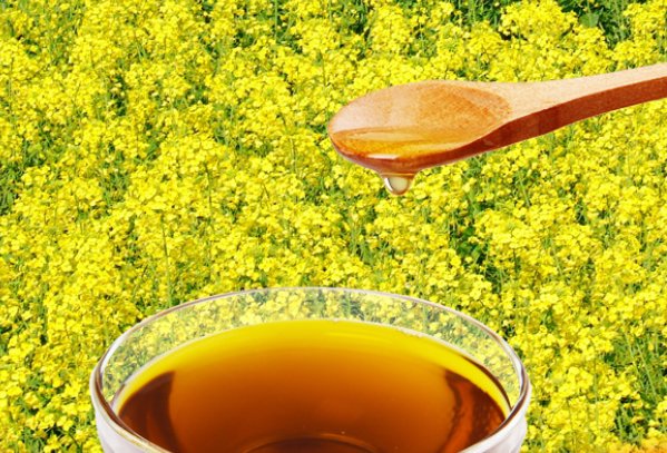 中国转基因食品一览表