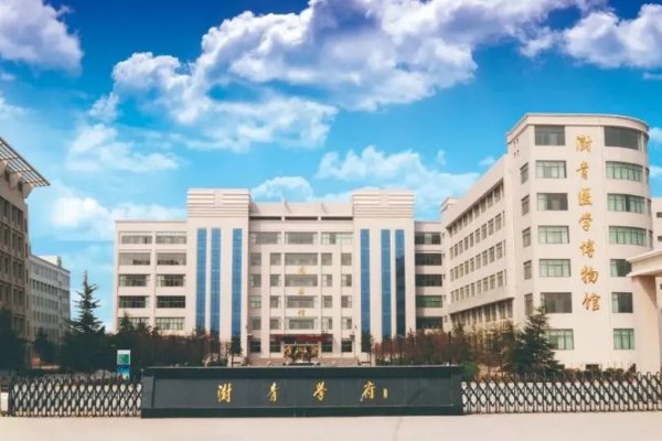 郑州澍青年招生专业分数线是多少？