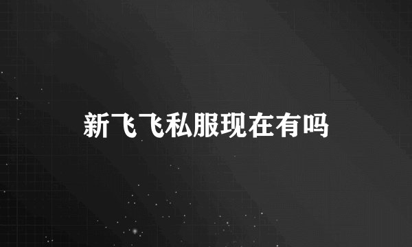 新飞飞私服现在有吗