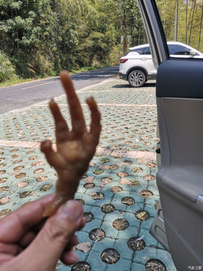 重启趣味生活，卡罗拉带你体验别样的江南小川藏线2天1晚