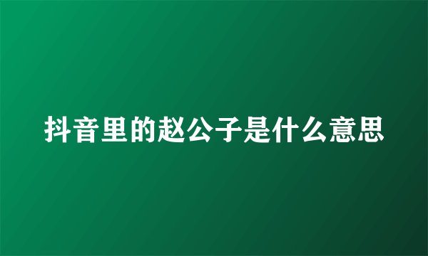抖音里的赵公子是什么意思