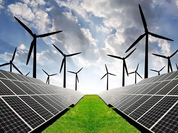 有研究表明：气候变暖成人畜共患病传播主因，我们该如何应对？