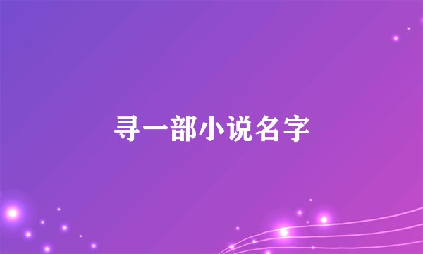 寻一部小说名字