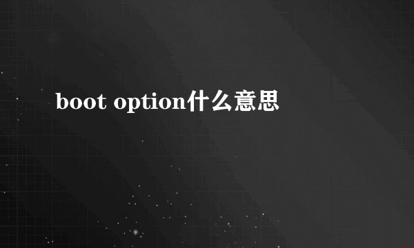 boot option什么意思