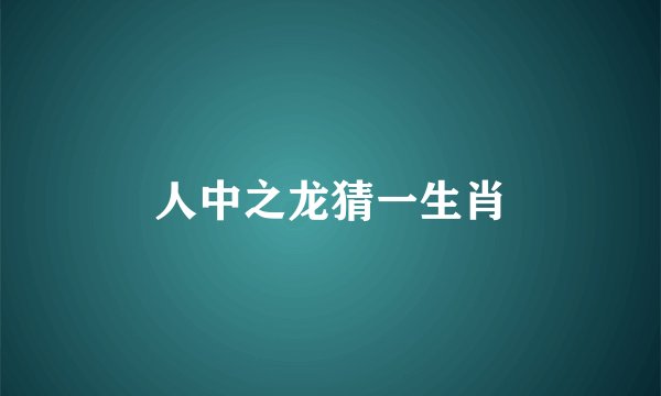 人中之龙猜一生肖