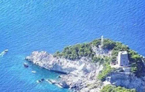 如果你被困在一个荒岛上，你将如何生存下去？