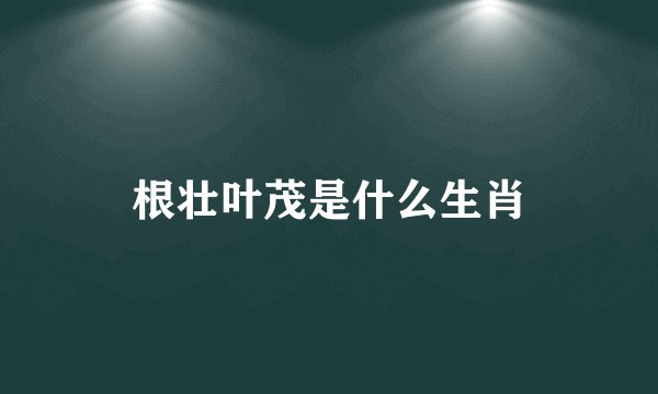 根壮叶茂是什么生肖