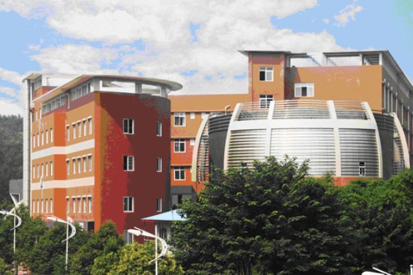 四川文化艺术学院2022年校考各省分数线