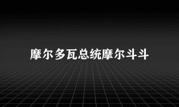 摩尔多瓦总统摩尔斗斗