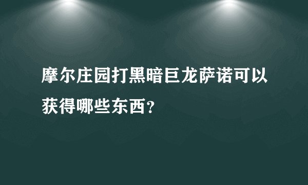 摩尔庄园打黑暗巨龙萨诺可以获得哪些东西？