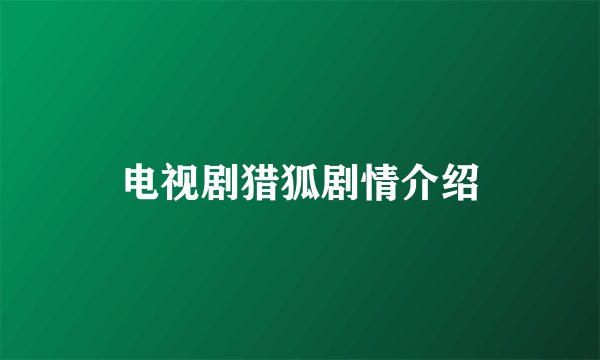 电视剧猎狐剧情介绍