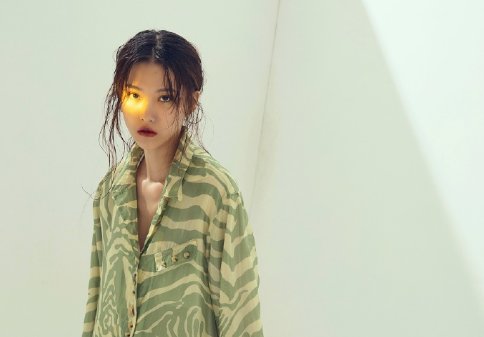 半藏森林是什么梗