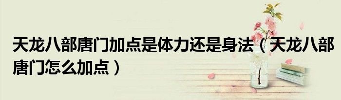 天龙八部唐门加点是体力还是身法天龙八部唐门怎么加点