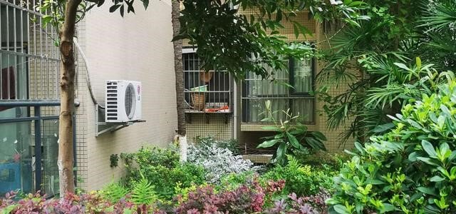 四川一小区绿化带发现男尸床上非常凌乱？死前经历了什么？