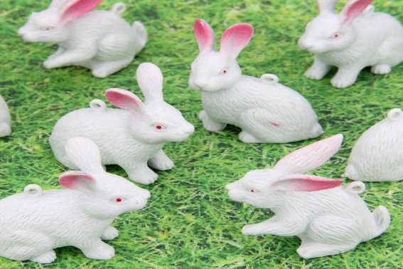 芬芳人间解什么生肖