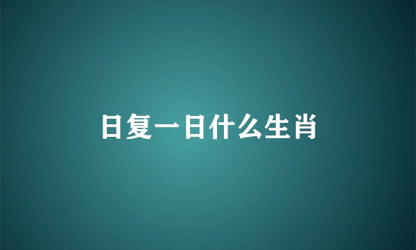 日复一日什么生肖