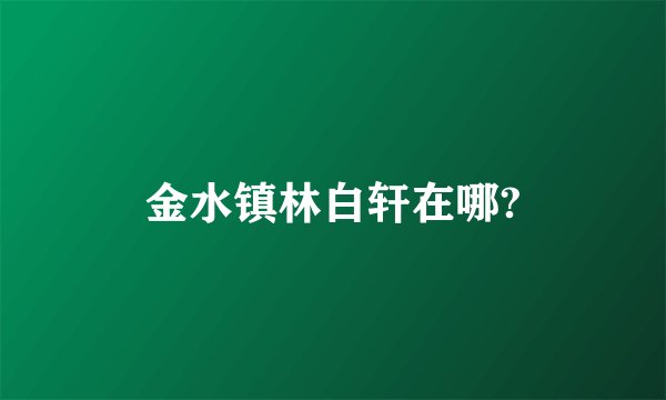 金水镇林白轩在哪?