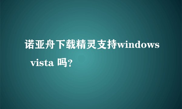 诺亚舟下载精灵支持windows  vista 吗？