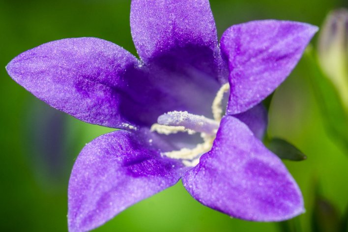 春天在什么在什么在什么上仿写