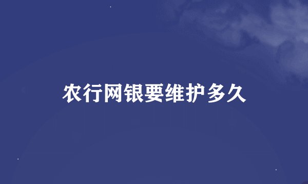 农行网银要维护多久