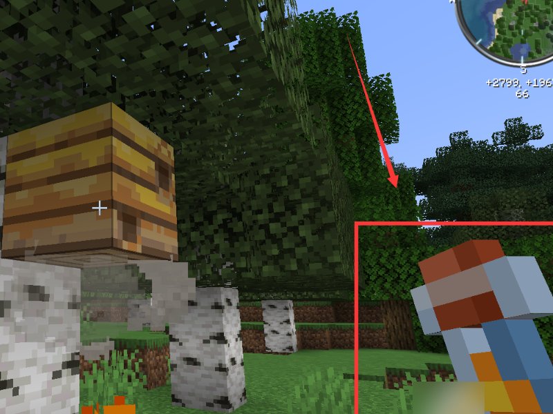 我的世界里的蜂巢在哪里找，况且怎么制作蜂蜜？