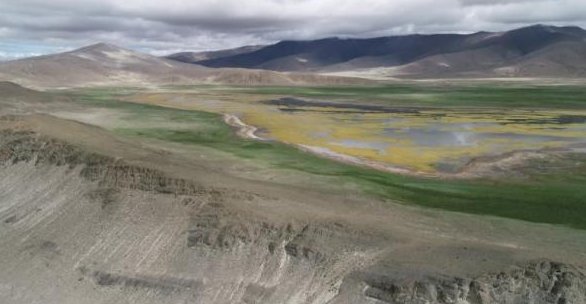 西藏发现8000年前的磨制石针，此次发现有什么意义呢?