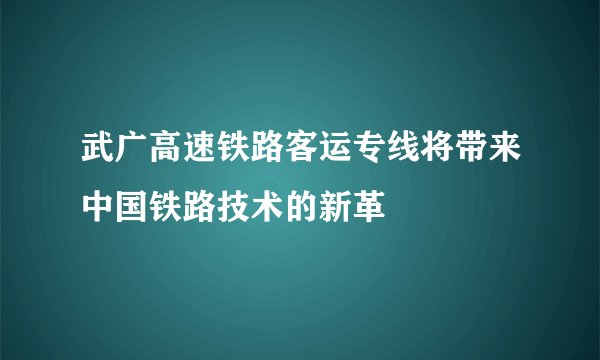 武广高速铁路客运专线将带来中国铁路技术的新革
