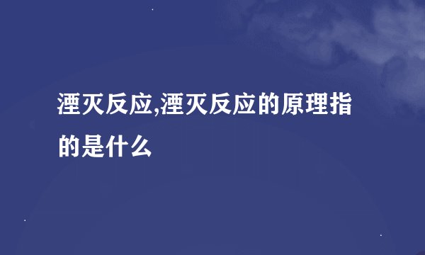 湮灭反应,湮灭反应的原理指的是什么