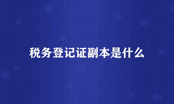 税务登记证副本是什么