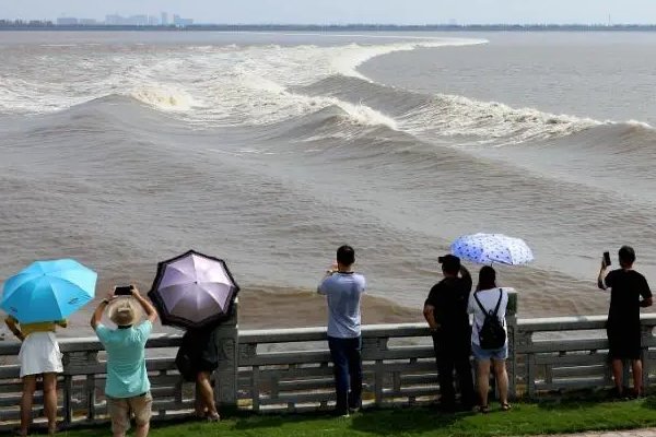 四年级上册语文第一课的组词