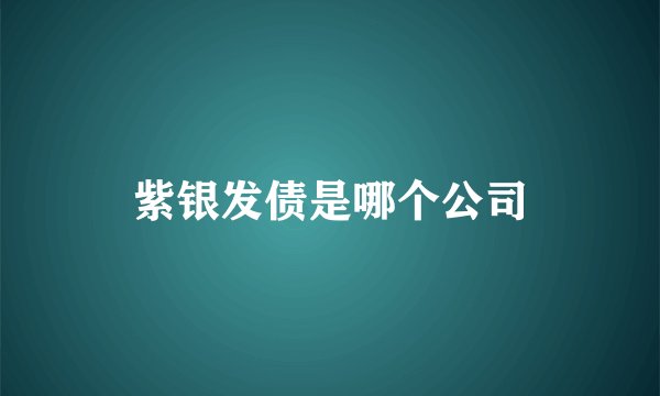 紫银发债是哪个公司